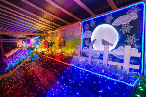 12 days of Christmas display