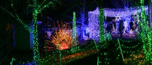 North pole display with new blizzard area