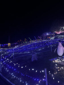 Bottom of tubing hill near the north pole display