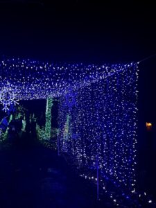 blizzard display with draped lights