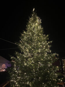 christmas tree in the vendor market
