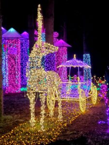 Princess Castle Carriage