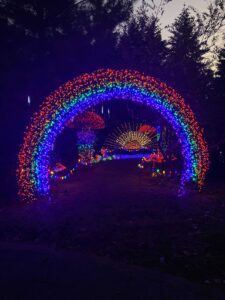Rainbow Light Display