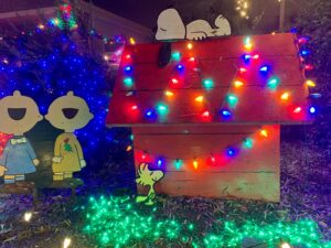 Snoopy Light Display