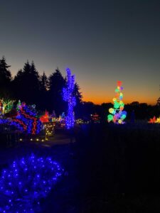 Sunset above the light display