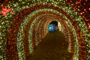 Silverton Christmas Market