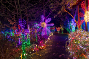 Silverton Christmas Market