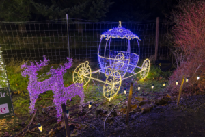 Silverton Christmas Market