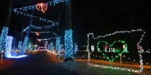 christmas light show