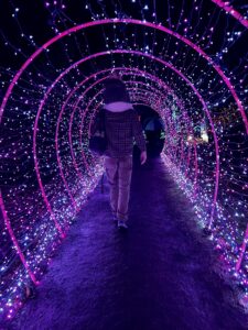 new pink light tunnel