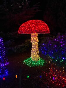 Mushroom Light Display