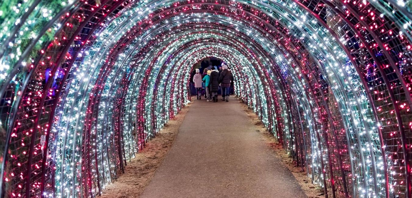 Iconic Candy Cane Tunnel
